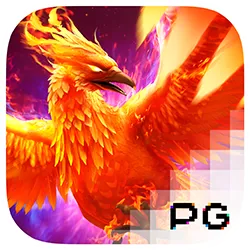 pg image