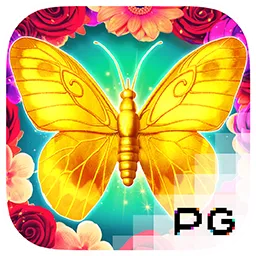 pg image