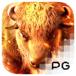 pg image